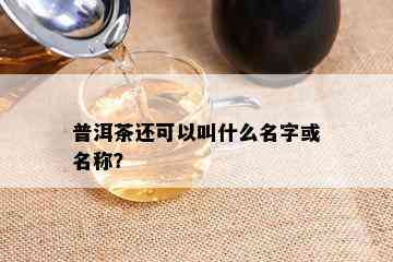 普洱茶还可以叫什么名字或名称？