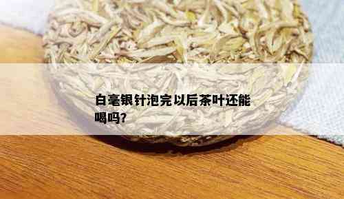 白毫银针泡完以后茶叶还能喝吗？