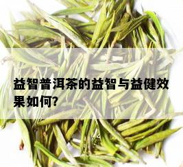 益智普洱茶的益智与益健效果如何？