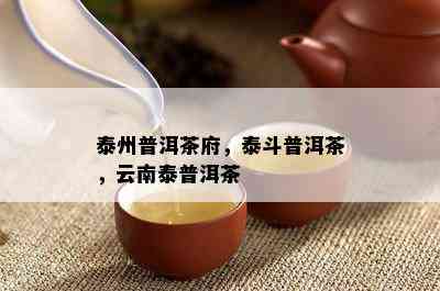 泰州普洱茶府，泰斗普洱茶，云南泰普洱茶