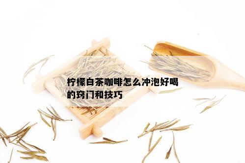 柠檬白茶咖啡怎么冲泡好喝的窍门和技巧