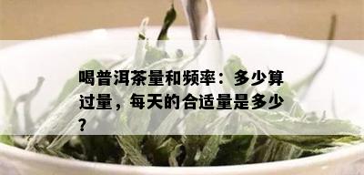 喝普洱茶量和频率：多少算过量，每天的合适量是多少？