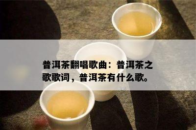 普洱茶翻唱歌曲：普洱茶之歌歌词，普洱茶有什么歌。