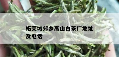 柘荣城郊乡高山白茶厂地址及电话