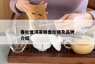 春伦普洱茶销售价格及品牌介绍