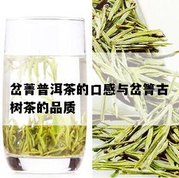 岔菁普洱茶的口感与岔箐古树茶的品质