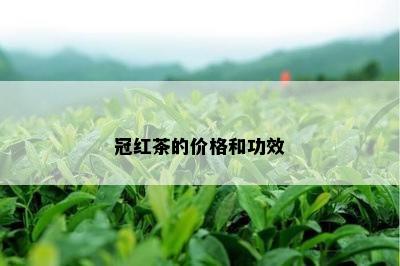 冠红茶的价格和功效