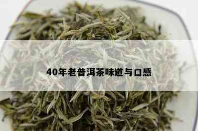 40年老普洱茶味道与口感