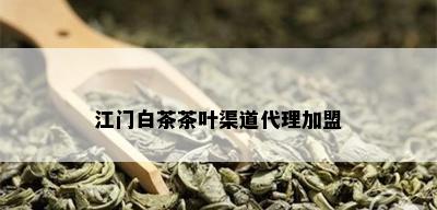 江门白茶茶叶渠道代理加盟