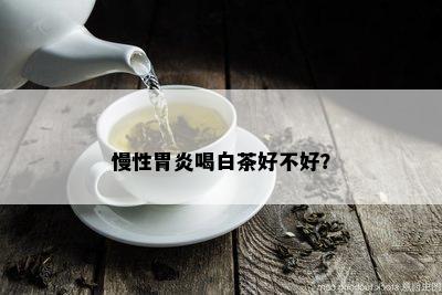 慢性胃炎喝白茶好不好？