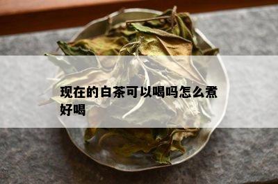 现在的白茶可以喝吗怎么煮好喝