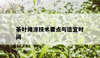 茶叶摊凉技术要点与适宜时间