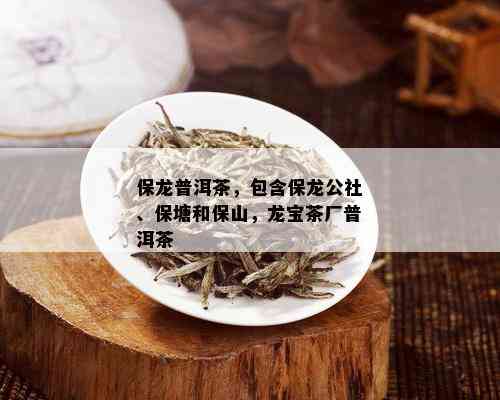 保龙普洱茶，包含保龙公社、保塘和保山，龙宝茶厂普洱茶