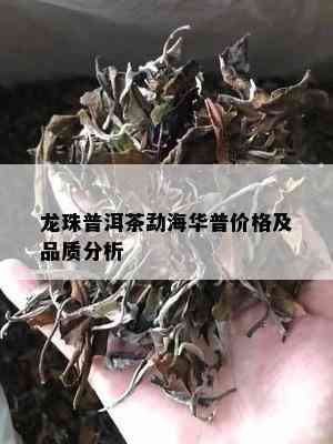 龙珠普洱茶勐海华普价格及品质分析