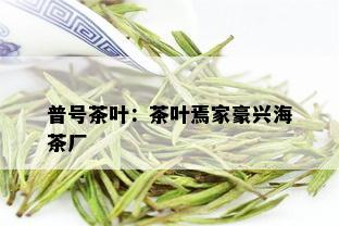 普号茶叶：茶叶焉家豪兴海茶厂