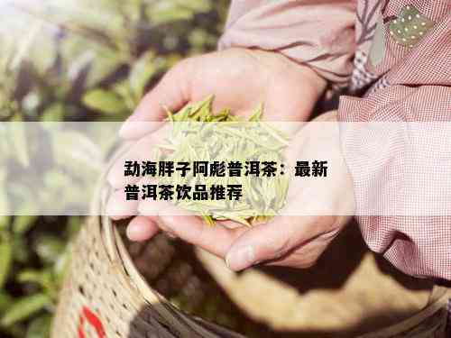 勐海胖子阿彪普洱茶：最新普洱茶饮品推荐