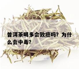 普洱茶喝多会致癌吗？为什么会中？