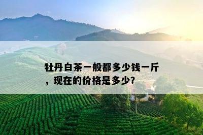 牡丹白茶一般都多少钱一斤，现在的价格是多少？