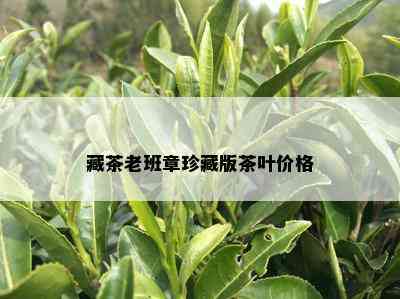 藏茶老班章珍藏版茶叶价格