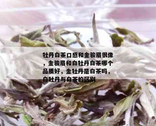 牡丹白茶口感和金骏眉很像，金骏眉和白牡丹白茶哪个品质好，金牡丹是白茶吗，白牡丹与白茶的区别