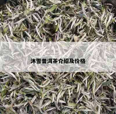 沐雪普洱茶介绍及价格