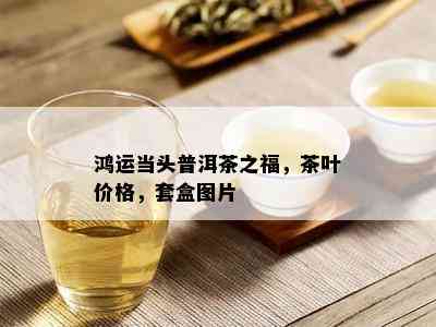 鸿运当头普洱茶之福，茶叶价格，套盒图片