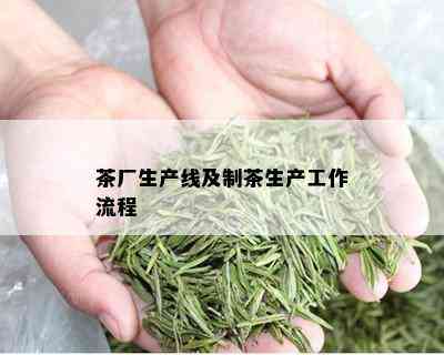 茶厂生产线及制茶生产工作流程