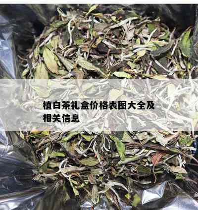 植白茶礼盒价格表图大全及相关信息