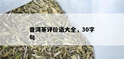 普洱茶评价语大全，30字句