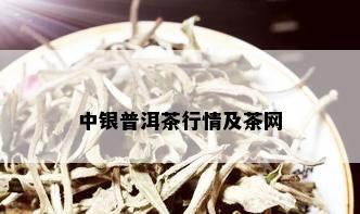 中银普洱茶行情及茶网