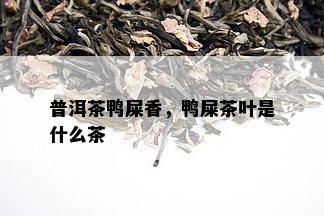 普洱茶鸭屎香，鸭屎茶叶是什么茶