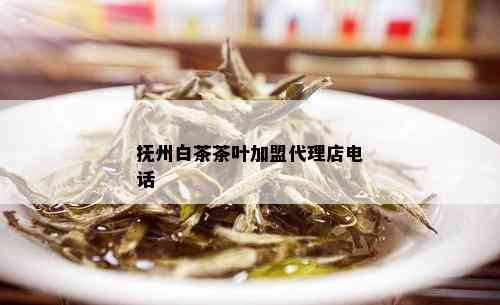 抚州白茶茶叶加盟代理店电话