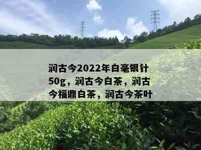 润古今2022年白毫银针50g，润古今白茶，润古今福鼎白茶，润古今茶叶