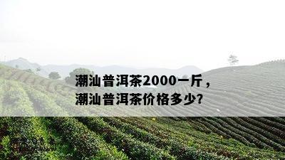 潮汕普洱茶2000一斤，潮汕普洱茶价格多少？