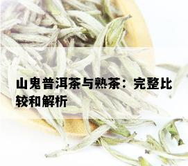 山鬼普洱茶与熟茶：完整比较和解析