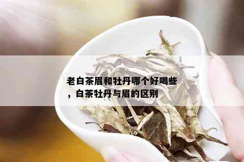 老白茶眉和牡丹哪个好喝些，白茶牡丹与眉的区别