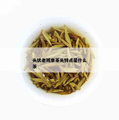 头状老班章茶头特点是什么茶