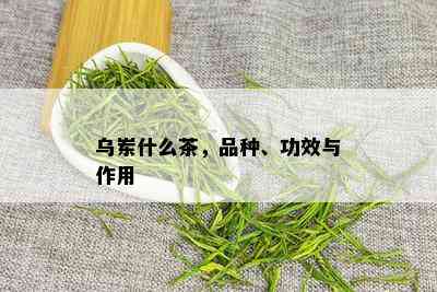 乌岽什么茶，品种、功效与作用