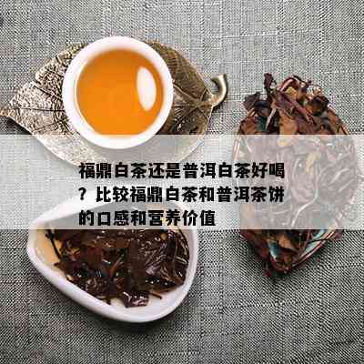 福鼎白茶还是普洱白茶好喝？比较福鼎白茶和普洱茶饼的口感和营养价值