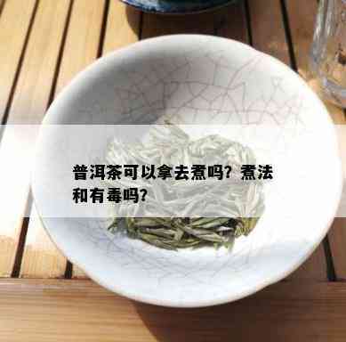 普洱茶可以拿去煮吗？煮法和有吗？