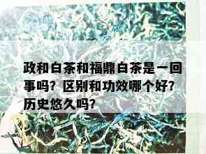 政和白茶和福鼎白茶是一回事吗？区别和功效哪个好？历史悠久吗？