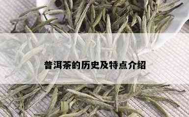 普洱茶的历史及特点介绍