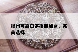 扬州可靠白茶招商加盟，完美选择