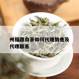 州福鼎白茶如何代理销售及代理联系