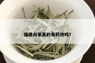 福鼎白茶真的有效吗？