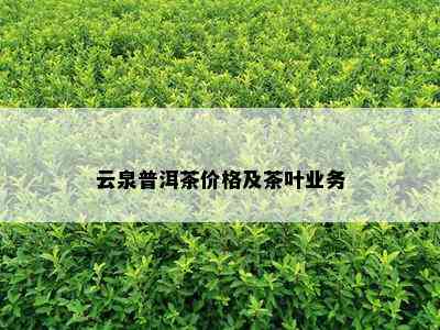 云泉普洱茶价格及茶叶业务