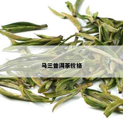 马三普洱茶价格