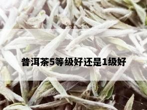 普洱茶5等级好还是1级好