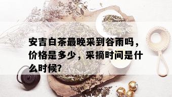 安吉白茶最晚采到谷雨吗，价格是多少，采摘时间是什么时候？