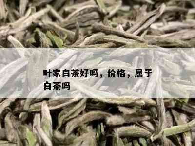 叶家白茶好吗，价格，属于白茶吗